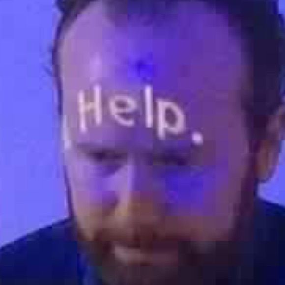 Meet your Posher, Lucas - Picture 1 of 1